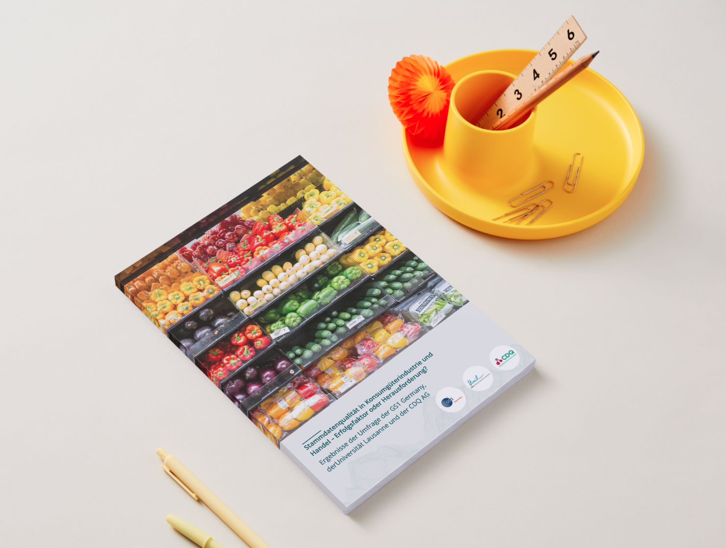 catalog der studie retail CDQ