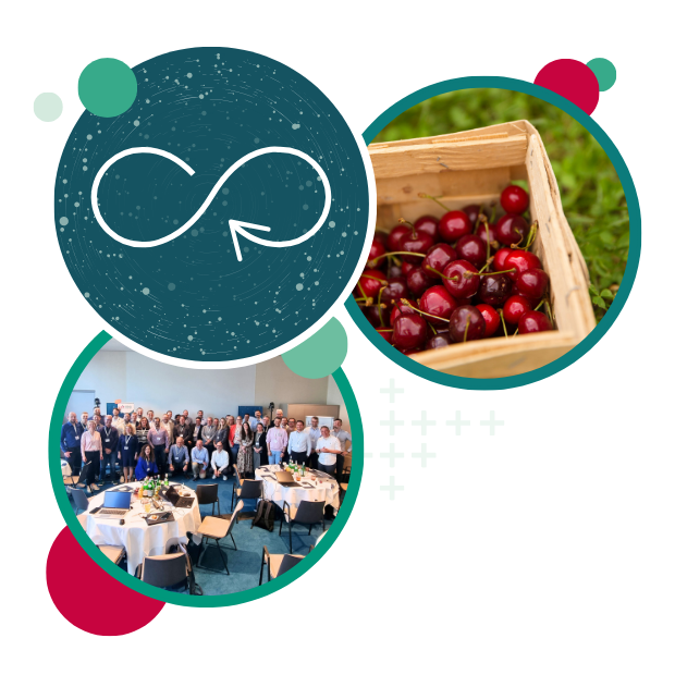 DQ_SharingIsCaring DQ_SharingIsCaring