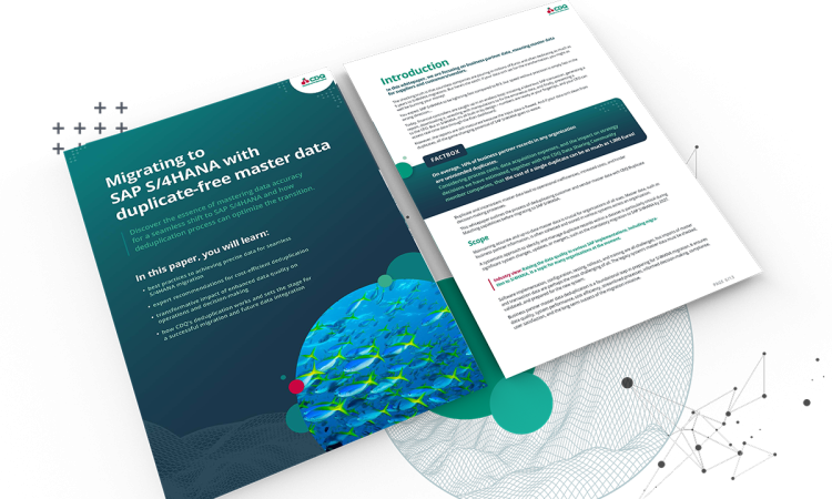S4HANA_Dedupe_Whitepaper